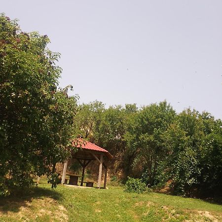 Retro Vendeghaz Villa Nagyharsany ภายนอก รูปภาพ